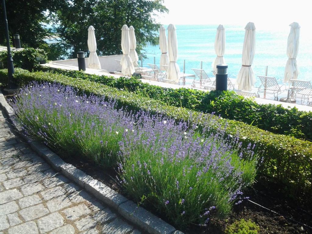 Hvd Boutique Hotel Oasis - Private Beach & Free Parking Goldstrand Exterior foto